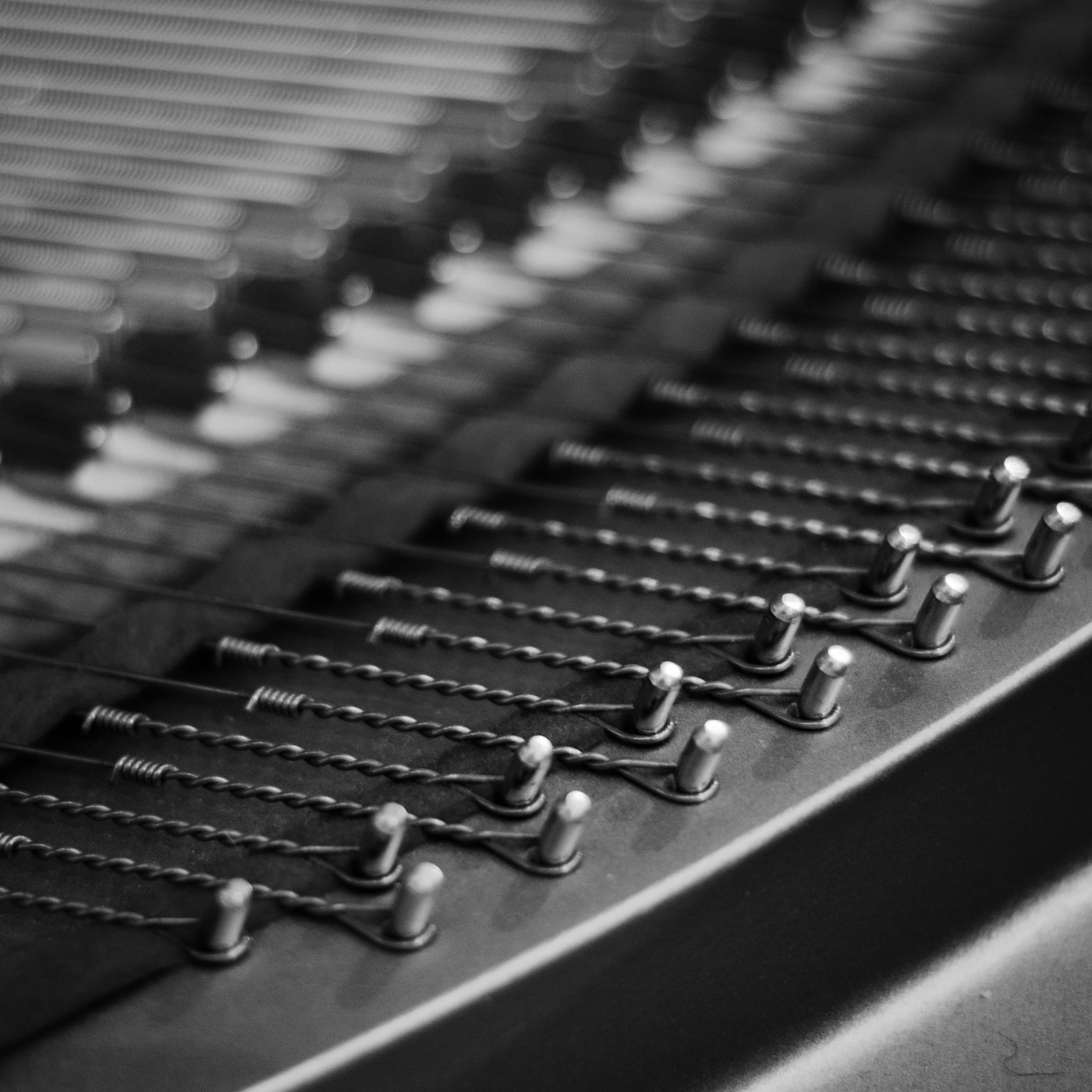 Close view of piano strings and tuning pins inside the instrument.